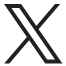 icon-x